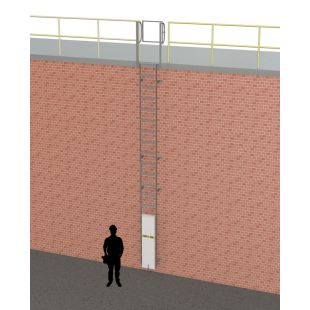 Custom Fixed Ladders