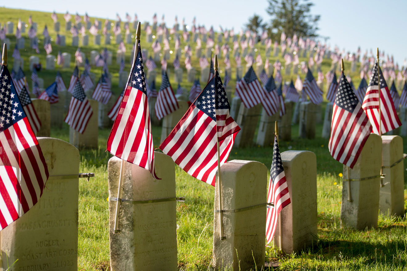 a photo showing rows of miniature American flags displayed at a military cemetery